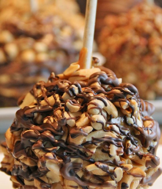 Cashew_Turtle_Apple_1024x1024