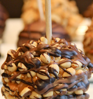 Peanut Turtle Apple