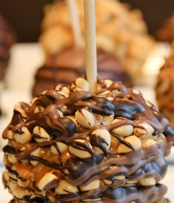 Peanut_Turtle_Apple_1024x1024